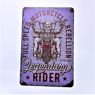 Постер "Legendary rider"